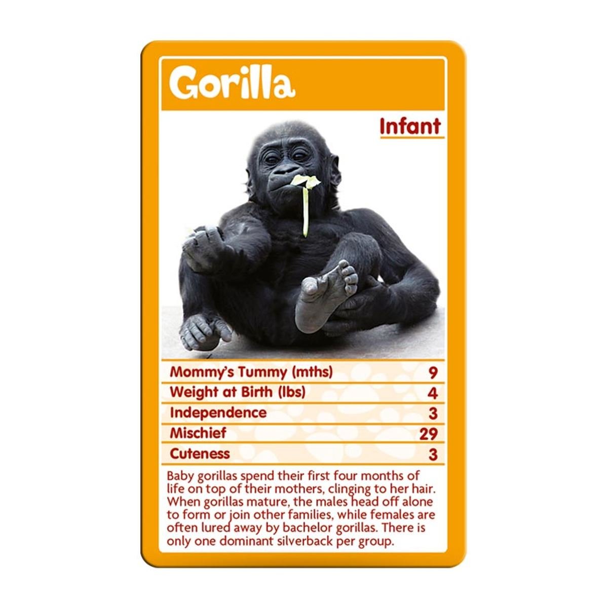 Baby Animals Top Trumps Card Game - Image 4