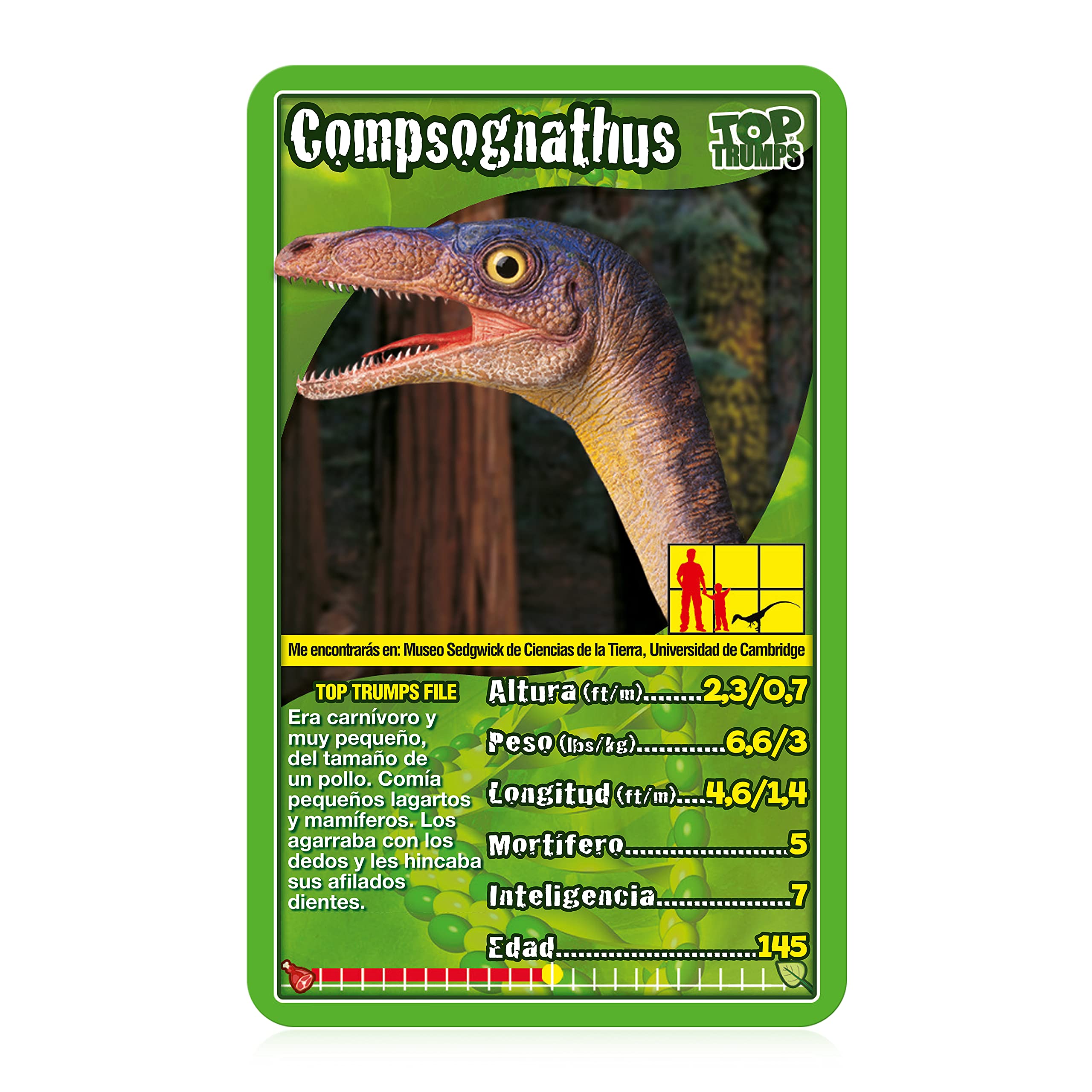 Juego de Cartas Top Trumps Dinosaurs Edición Española, Aprende sobre Tyrannosaurus Rex, Stegosaurus, Giganotsaurus en este Pack educativo, Regalo y juguete para niños y niñas de 6 años en adelante - Image 4