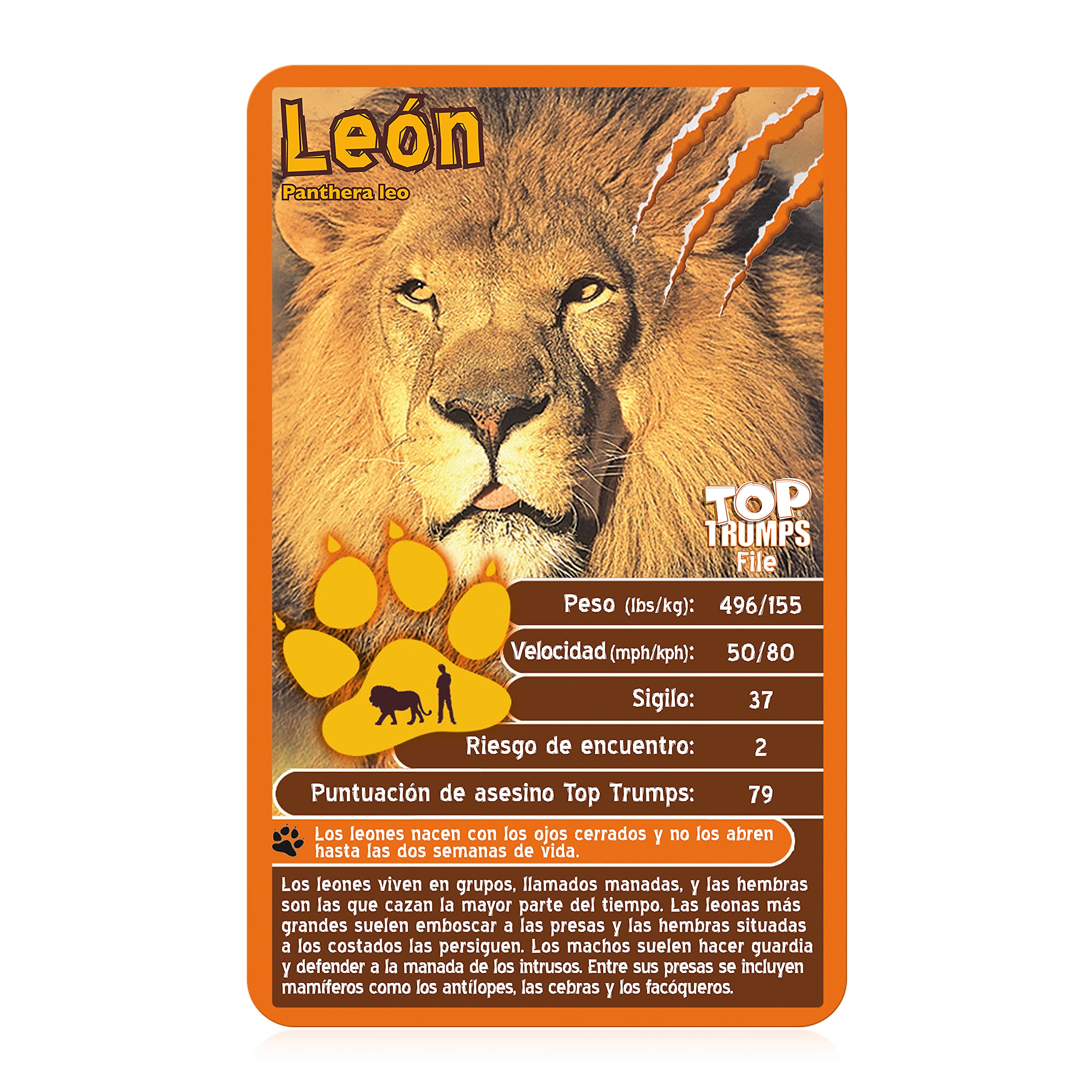 Top Trumps Juego de cartas Deadliest Predators Edición en español, aprende sobre el Gran tiburón Blanco, el dragón de Komodo y la Cobra Real en este paquete educativo, Regalo para edades de 6+ años - Image 3