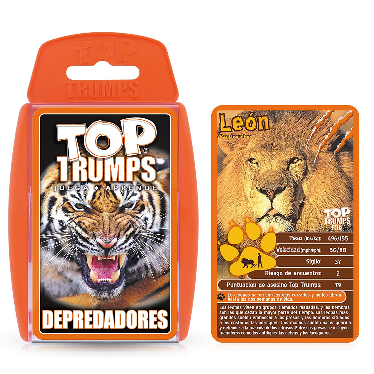 Top Trumps La Vuelta al Mundo/Around The World/Spanish Pack, WM02549-SPA-6 - Image 3