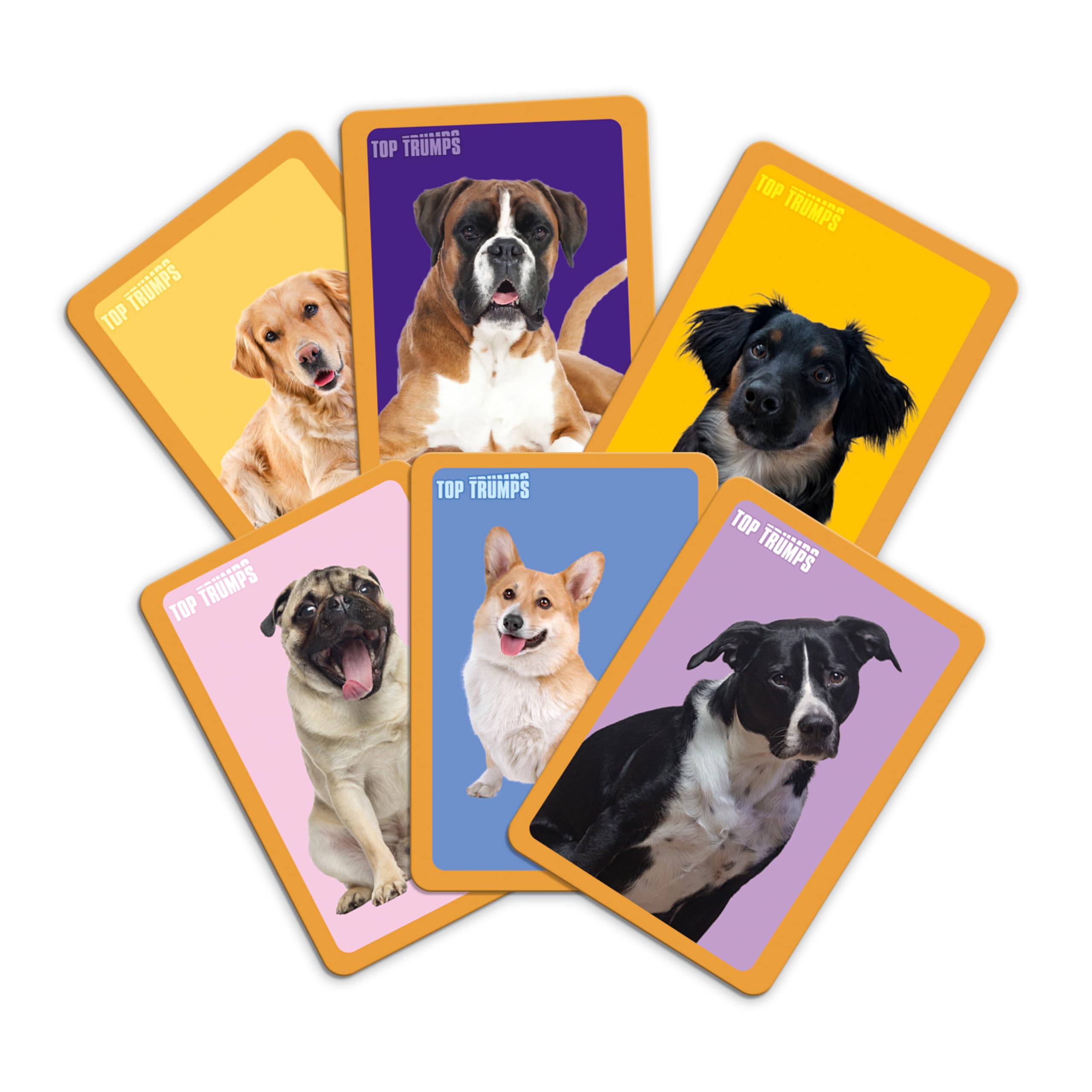 Top Trumps Match Game Dogs - Family Board Games for Kids and Adults - Matching Game and Memory Game - Fun Two Player Kids Games - Memories and Learning, Board Games for Kids 4 and up - Image 4